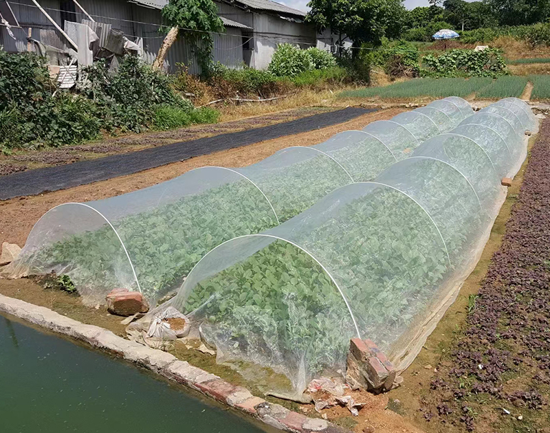 蔬菜種植網(wǎng)